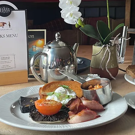 The Durham Ox