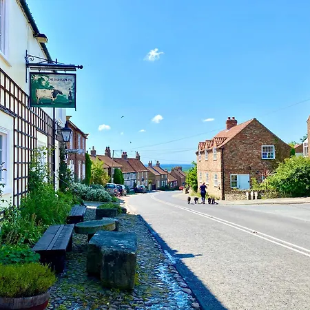 The Durham Ox 5*